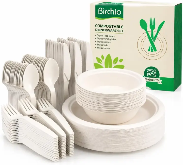 250-Piece Compostable Paper Dinnerware Set with Extra-Long Utensils
