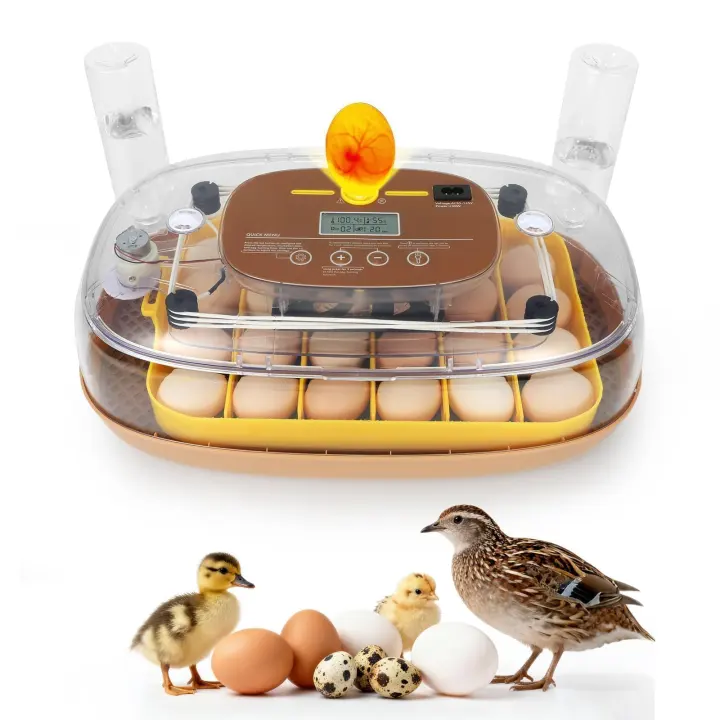 Series III 24‑Egg Smart Incubator — Adaptive Humidity & Auto‑Turn
